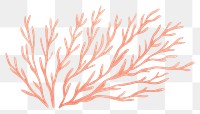 PNG  Sea weed drawing pattern nature.