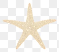 PNG  Sea starfish symbol white background invertebrate.