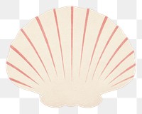 PNG  Seashell white background invertebrate shellfish.