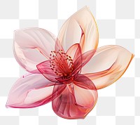 PNG Flower icon petal plant white background