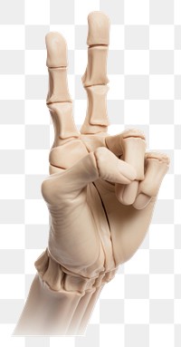 PNG Skeleton hand finger glove white background.