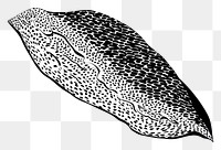 PNG Salmon sashimi leaf art white background.