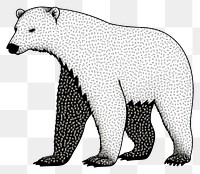 PNG Polar bear wildlife animal mammal.