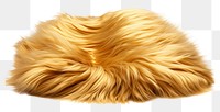 PNG Gold fur fabric textile mammal white background.