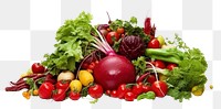 PNG Organic food vegetable organic radish.