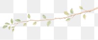 PNG Branch branch plant leaf.