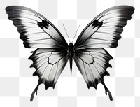 PNG Ink butterfly drawing animal sketch.