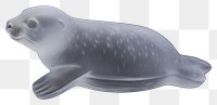 PNG Animal mammal seal swimming.