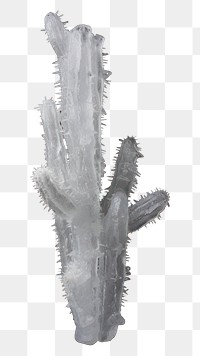 PNG Cactus splattered nature sketch.