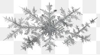 PNG Snowflake ice chandelier outdoors.