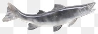 PNG Animal fish shark coho.