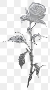 PNG Drawing flower sketch plant.