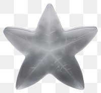 PNG Symbol star simplicity echinoderm.