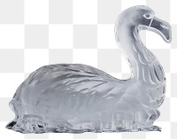 PNG  Swan frosted ice animal bird beak.