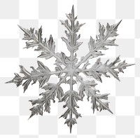 PNG  Snow flake snowflake plant leaf.