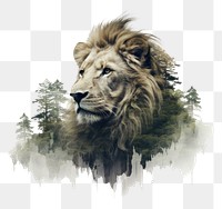 PNG  Double exposure photography lion and forest wildlife outdoors mammal.