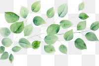 PNG Hand painted leaf watercolor drawing green background backgrounds plant tranquility.