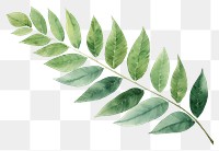PNG Hand painted leaf watercolor drawing green background plant astragalus pattern.