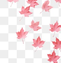 PNG  Maple leaves border cute backgrounds autumn petal. AI generated Image by rawpixel.