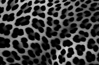 PNG Cheetah skin texture cheetah backgrounds wildlife. 