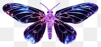 PNG  A violet glowing butterfly insect animal purple. AI generated Image by rawpixel.