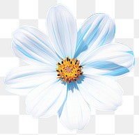 PNG A single white daisy flower isolated on solid clear white background blossom petal plant. AI generated Image by rawpixel.