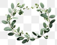 PNG  Wreath plant Eucalyptus wreath leaf celebration. 