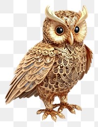 PNG Owl animal bird beak.