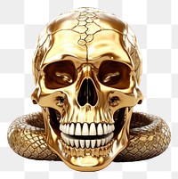 PNG Skull snake gold white background.
