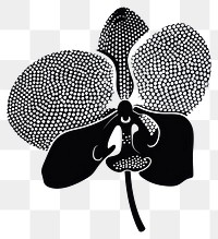 PNG Appliance blossom stencil flower.
