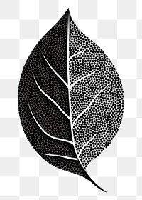 PNG Plant leaf black monochrome.