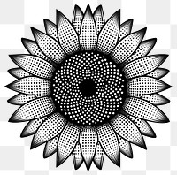 PNG Sunflower pattern accessory blossom.