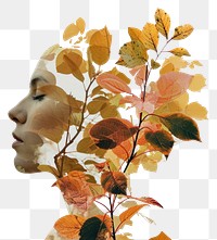 PNG  Autumn collage plant leaf.