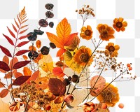 PNG  Autumn backgrounds outdoors pattern.