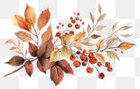 PNG  Autumn plant leaf white background.
