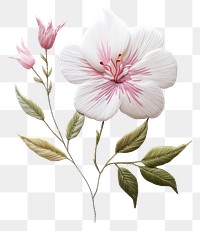 PNG A thai flower in embroidery style plant white art.