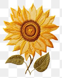 PNG A sunflower in embroidery style textile pattern plant.