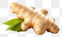 PNG  Ginger plant food white background