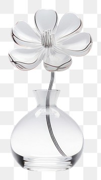 PNG Flower glass white vase.