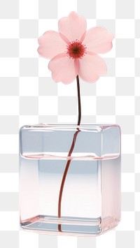 PNG Flower petal plant glass.