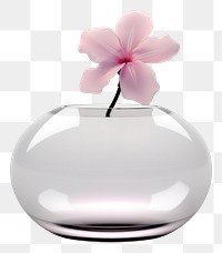 PNG Orchid flower petal plant glass.