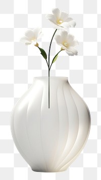 PNG Orchid flower petal plant white.