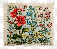 PNG Pattern flower plant cross-stitch.