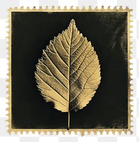 PNG Plant leaf blackboard pattern.