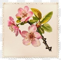 PNG Vintage stamp blossom flower plant.