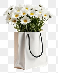 PNG  Flower carrier bag mockup daisy plant white