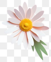 PNG Paper cutout illustration of a daisy flower petal plant inflorescence.