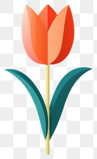 PNG Paper cutout of a Tulip flower tulip plant inflorescence.