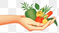 PNG Vegetable holding radish fruit.