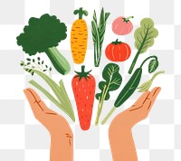 PNG Vegetables holding plant food.